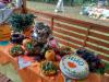Участие ИИО в Гарбузовым фэсте БГПУ 10 2017